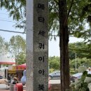 세븐일레븐 진주초전공원점 | 진주 초전공원 수국 개화 후기｜6월 경남 수국 명소 추천