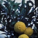 남해-302 이미지