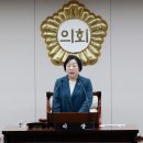 262 이미지