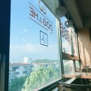 도그앤미 | [안산 본오동 애견까페] 도그앤미 후기