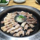 호텔 엠펠리체 티스토리