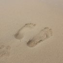 금화정 막국수 이미지