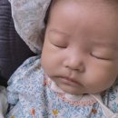 pet 02머4721 | 50일 무료촬영 베이비파스텔 중랑점 추억소중히 담아