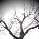 효자 신급 정문 이미지