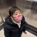 (주)애그리캠 | 김포캠핑 범바위캠핑장 마지막가을캠+미리크리스마스 미즈캠