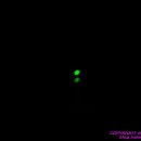 쉼터 낚시터 이미지