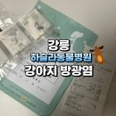 하슬라동물병원 | 강릉 동물병원 하슬라동물병원 강아지 방광염증상으로 치료 받은 후기