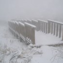 명석목장 이미지