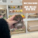 패러그린샵 동래점 이미지