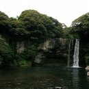 천지연 폭포 이미지