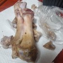 보스 노래방 | 냥데기의 제멋대로 일상 #224(알바 53일차, 혼코노, 원신[주간보스 별을 삼킨 고래])_[26.01.11 일요일]