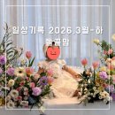 백운한의원 | [일상기록] 2026.3월-하 : 돌끝맘