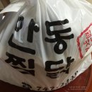 맛나리아