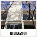 소로3-83(혁신도시) | [완주 카페] 마마줄리아 벚꽃 명소 베이커리카페 전주 근교 드라이브 코스 추천