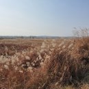 문학해설 체험 이미지