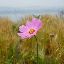 노을공원1 이미지