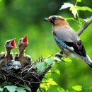 대관령주막집 이미지