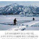 [문화재사랑] 눈의 나라(雪國)에서 만드는 여름 직물 - 오지야 지지미(小千谷縮)와 에치고조후(越後上布) 이미지