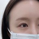 도안휴먼시아6단지센트럴시티경로당 | 봉명동속눈썹펌 개인 눈매특성에 맞춰주는 미플렉스