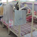 진성고등학교 이미지