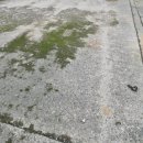 씨유 반월산업단지점 | 산업단지 레미콘 타설 전 바닥 면갈이, 들뜸 방지 표면 정비 시공