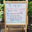 꽃;너를담다 이미지