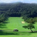 기흥관광개발(주) 골드CC 이미지