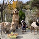 푼타하우스
