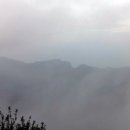 파다 Daum카페