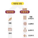 바른임자매