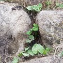 행복한우리마트 이미지