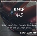 팀카스킨 이미지