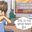 돼지여행