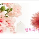 다솜화원 이미지