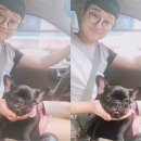 백마동물병원 이미지