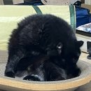 씨유 광안수영로점 | 일상 1주차