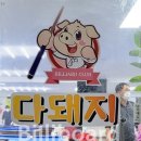 다돼지 당구클럽 이미지