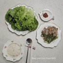 아줌마네야채