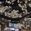 DM GYM 이미지