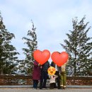 향로산자연휴양림 | 무주 향로산 자연휴양림 겨울 숙박후기 - 숲속동굴집 숲속나무집 숙소선택팁, SNS 핫스팟 트리하우스