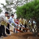 옥녀봉공원 이미지