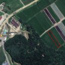 김종철농장 이미지