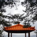 진월면민광장 이미지