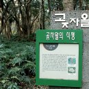 청수 곶자왈 이미지