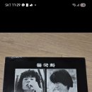 lp3장캐럿 이미지