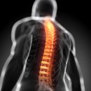 대세한의원 이미지