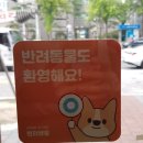 바로닐 이미지