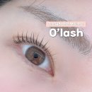 오래쉬(O’LASH) 이미지