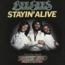 아카펠라 노래숲 이미지