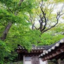 선유도 오룡묘 이미지